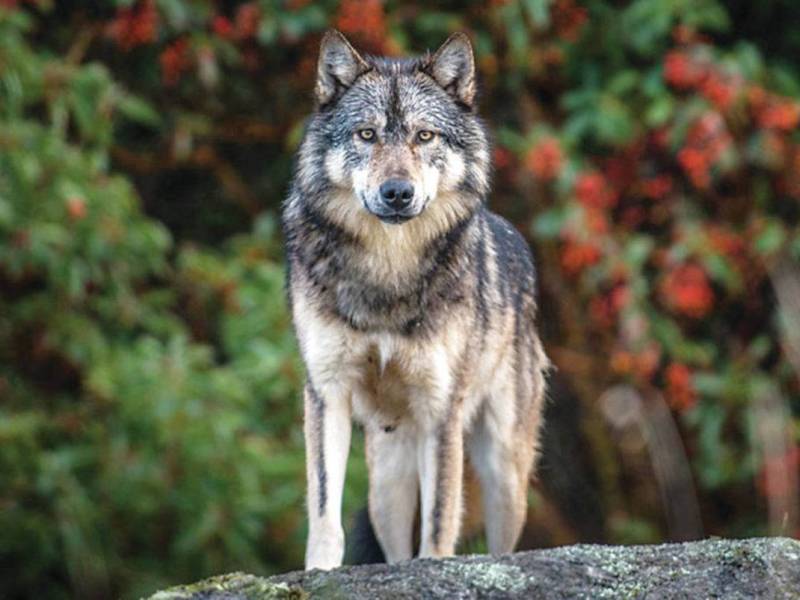 Inconvenience of Truth